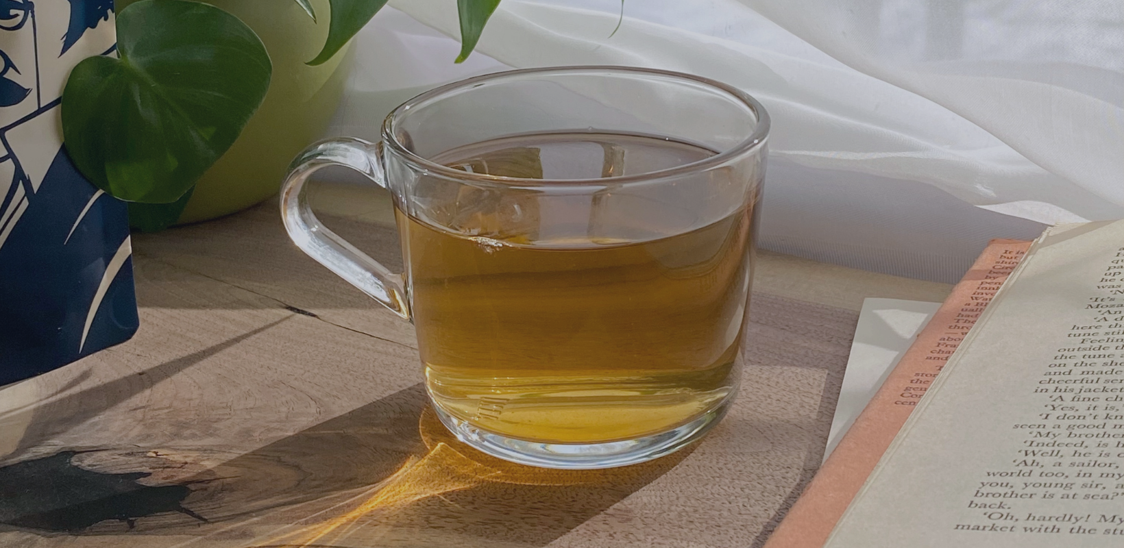 Rooibos Tea